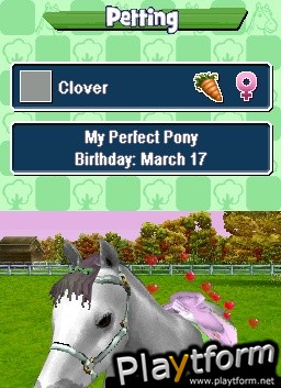 Pony Friends (DS)