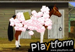 Pony Friends (DS)