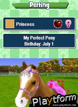 Pony Friends (DS)