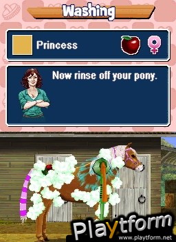 Pony Friends (DS)