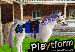 Pony Friends (DS)