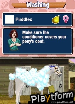 Pony Friends (DS)