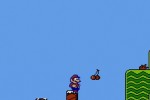 Super Mario Bros. 2 (Wii)