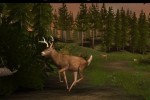 Deer Drive (PC)