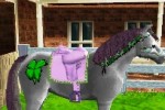 Pony Friends (DS)