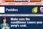 Pony Friends (DS)