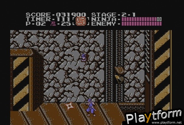 Ninja Gaiden (NES) (Wii)