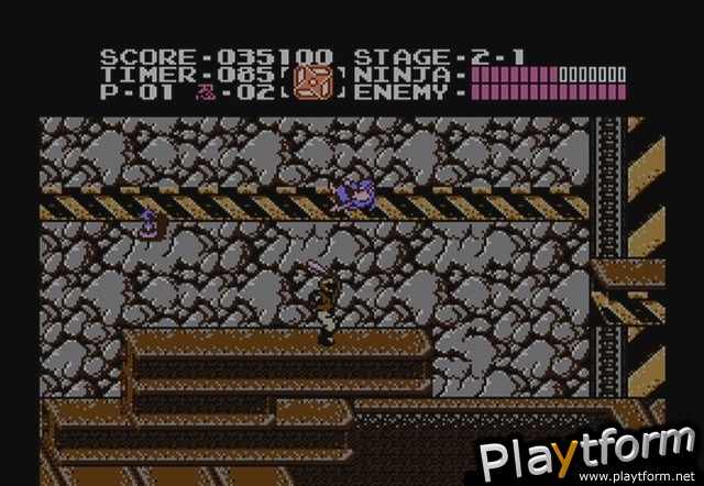 Ninja Gaiden (NES) (Wii)