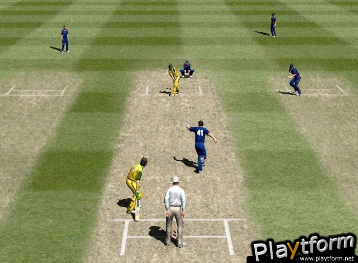 Brian Lara International Cricket 2007 (PlayStation 2)