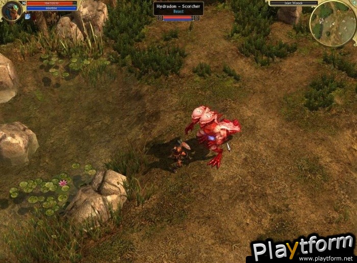 Titan Quest: Immortal Throne (PC)