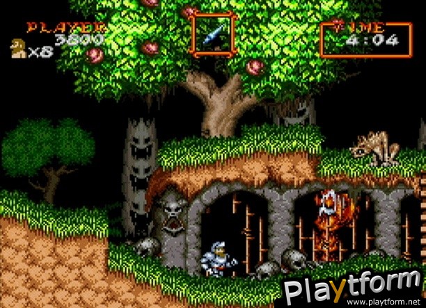 Super Ghouls 'N Ghosts (Wii)