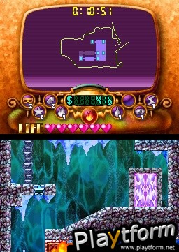 Wario: Master of Disguise (DS)