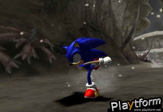 Sonic and the Secret Rings (Wii)