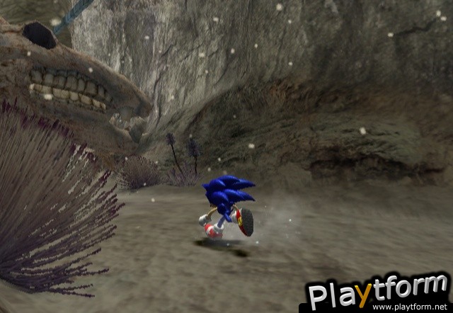 Sonic and the Secret Rings (Wii)