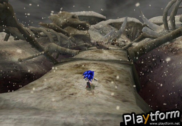 Sonic and the Secret Rings (Wii)