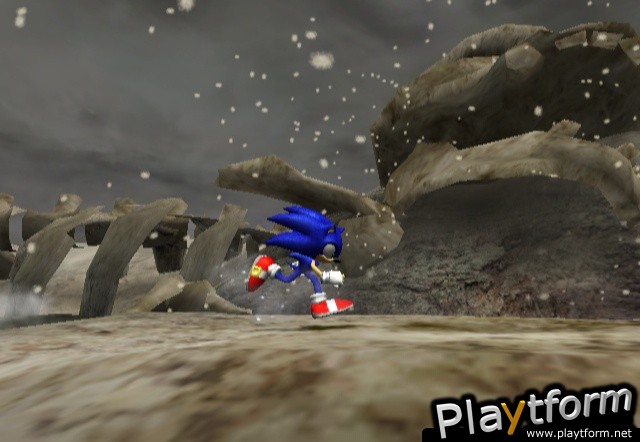 Sonic and the Secret Rings (Wii)