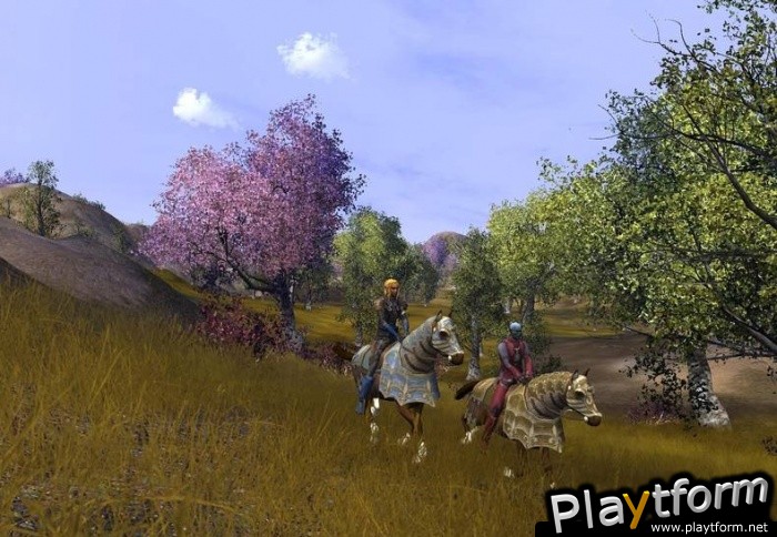 Vanguard: Saga of Heroes (PC)