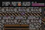 Ninja Gaiden (NES) (Wii)