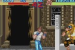 Final Fight (Wii)