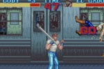 Final Fight (Wii)