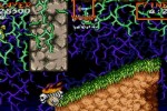 Super Ghouls 'N Ghosts (Wii)