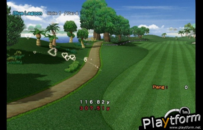 Super Swing Golf (Wii)