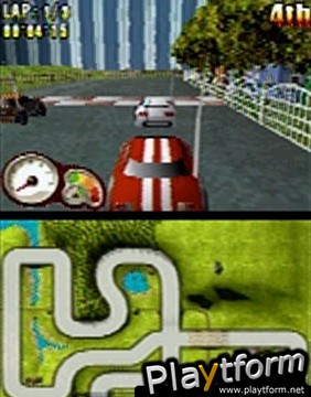 Mini RC Rally (DS)