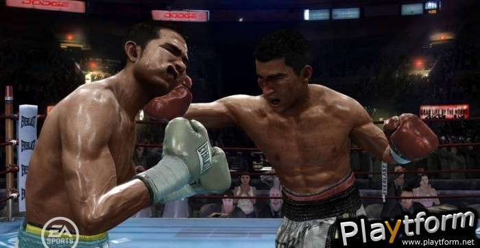 Fight Night Round 3 (PlayStation 3)