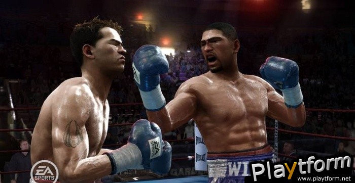 Fight Night Round 3 (PlayStation 3)