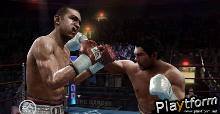 Fight Night Round 3 (PlayStation 3)