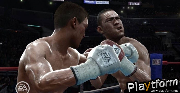 Fight Night Round 3 (PlayStation 3)