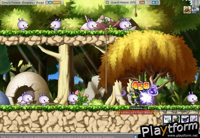 MapleStory (PC)