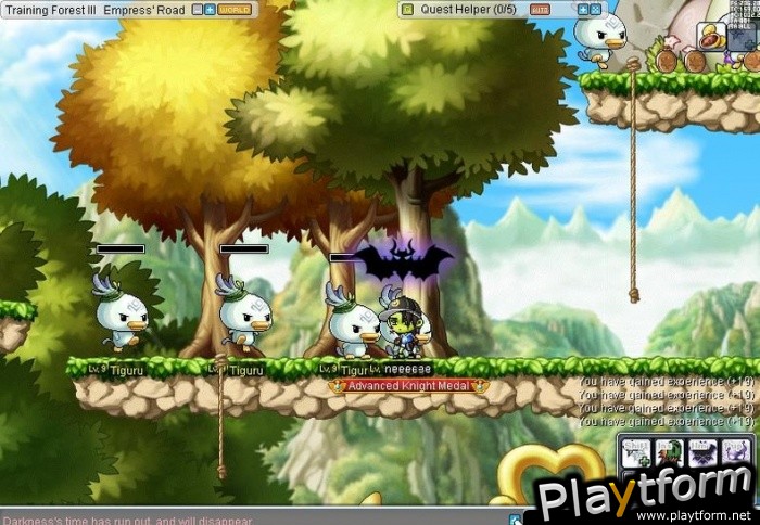 MapleStory (PC)