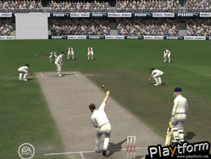 Cricket 07 (PC)