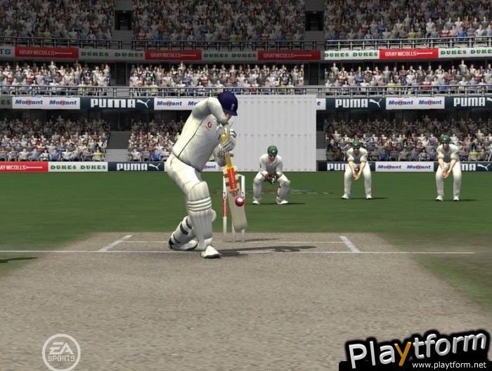 Cricket 07 (PC)