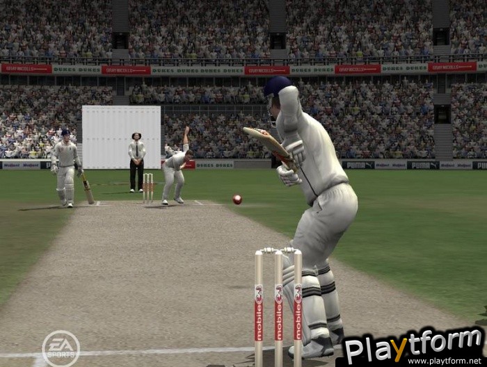 Cricket 07 (PC)