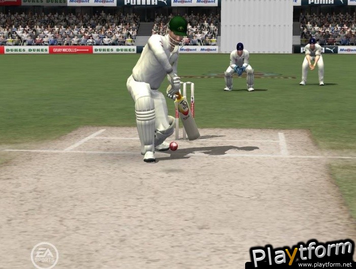 Cricket 07 (PC)