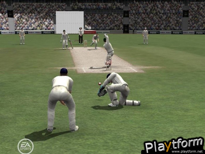 Cricket 07 (PC)