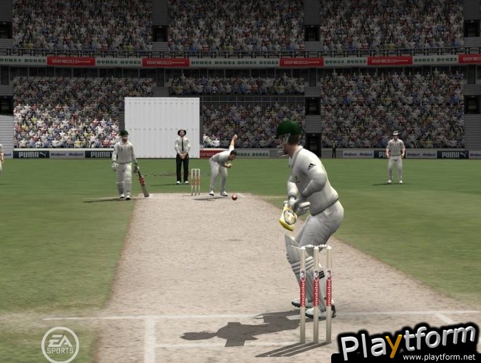 Cricket 07 (PC)