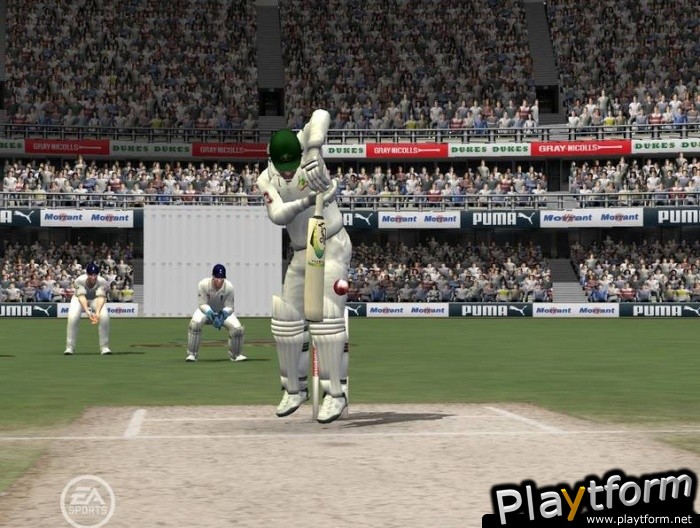 Cricket 07 (PC)