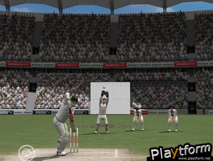 Cricket 07 (PC)