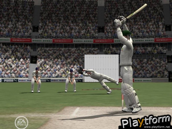 Cricket 07 (PC)