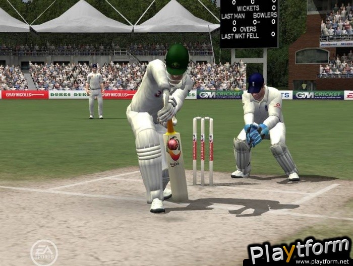 Cricket 07 (PC)