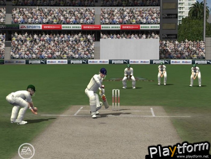 Cricket 07 (PC)