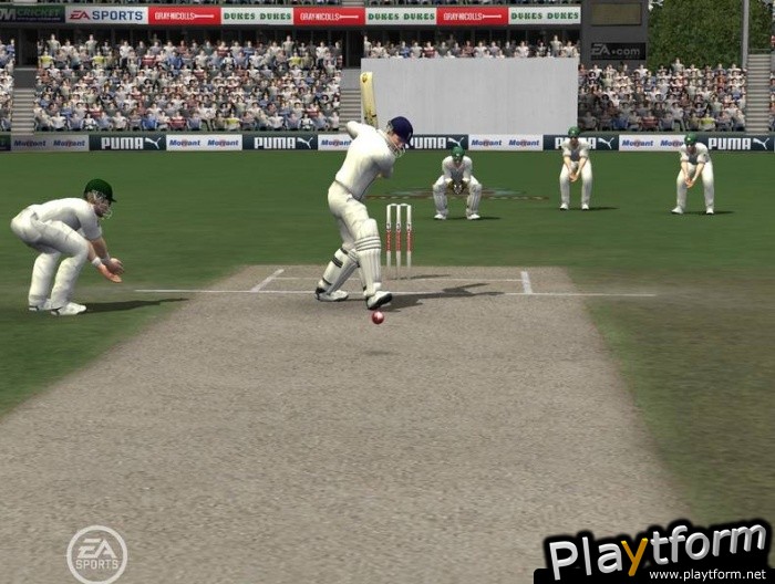 Cricket 07 (PC)