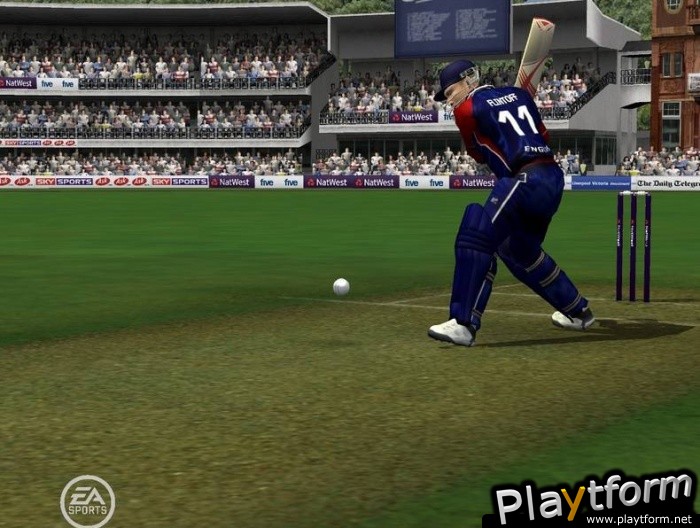 Cricket 07 (PC)