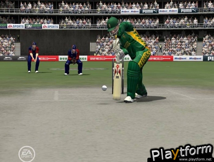 Cricket 07 (PC)