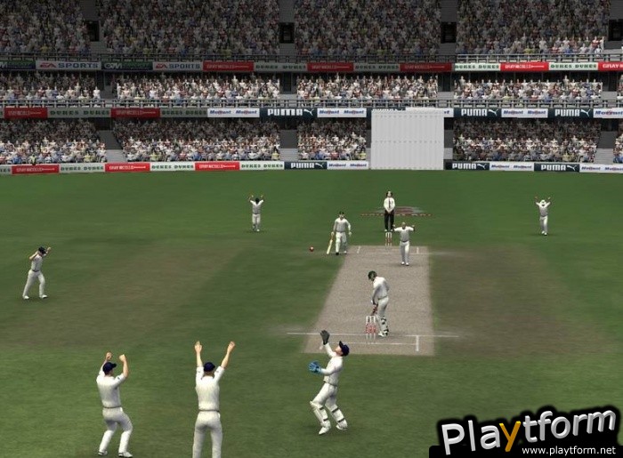 Cricket 07 (PlayStation 2)