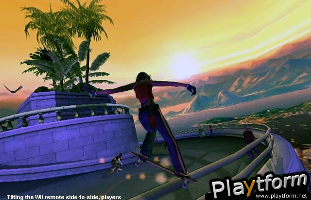 Tony Hawk's Downhill Jam (Wii)