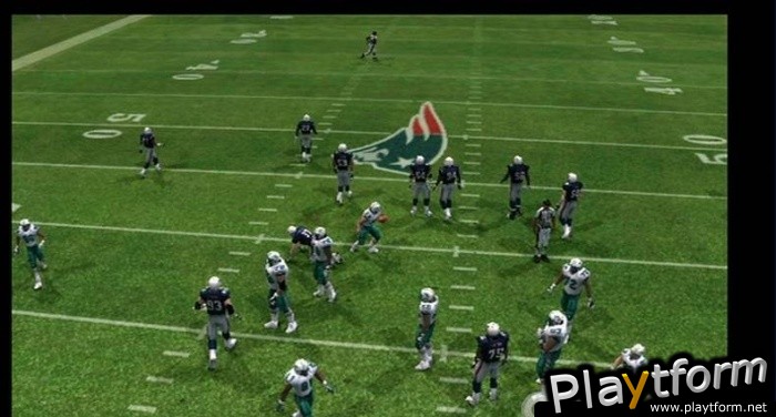 Madden NFL 07 (Wii)